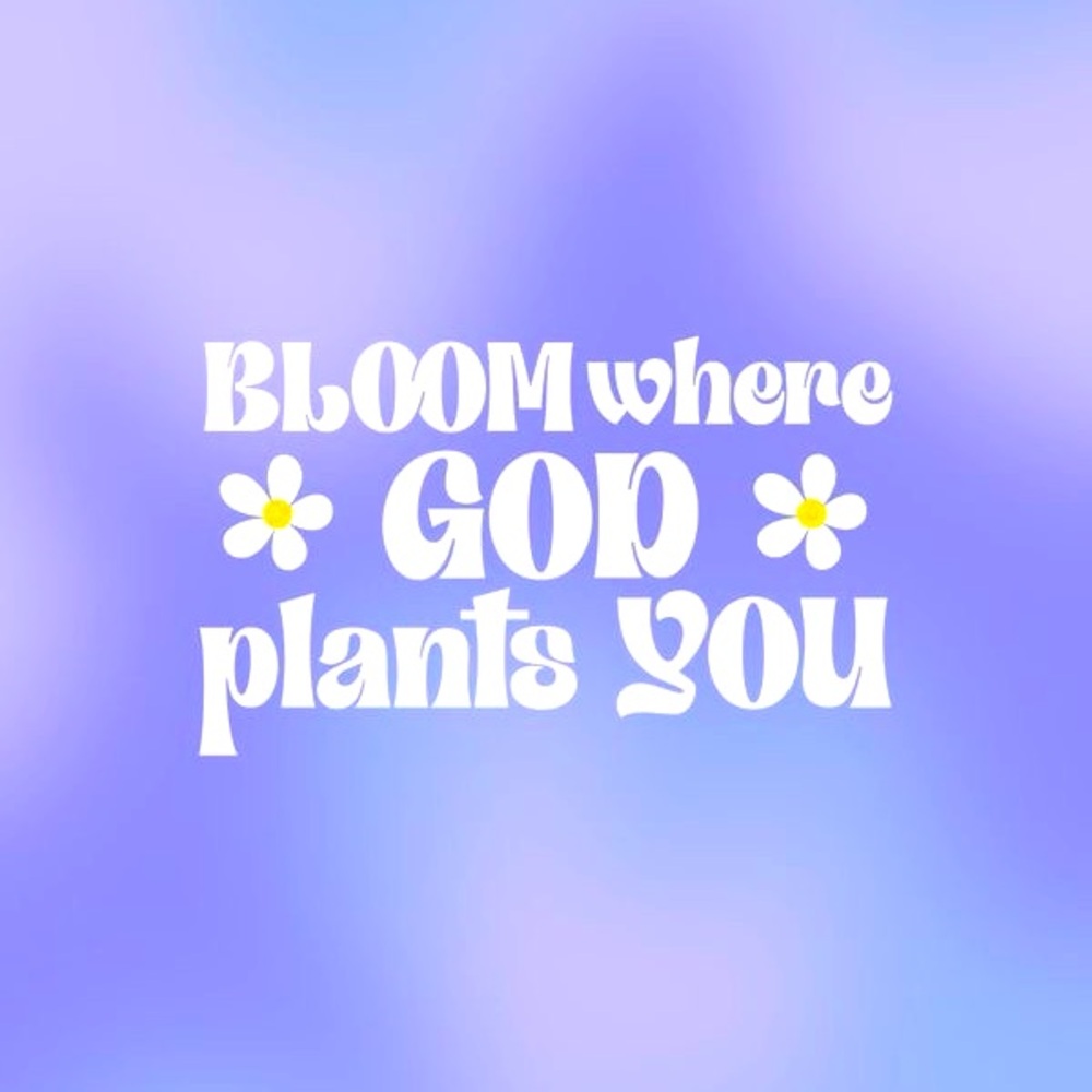 Meet your Posher, Lucy